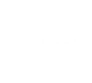 Havas Analytics