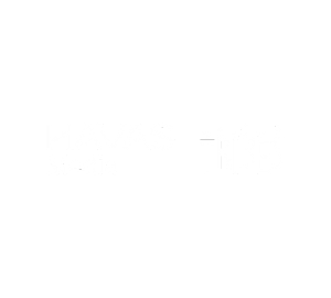 Havas Media Tribes