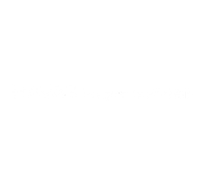 Havas Programmatic Hub