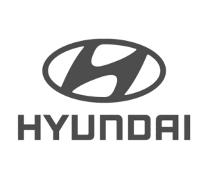 Hyundai (Shobiz Havas page)