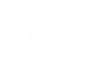 PR Pundit Havas Red