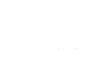 Havas Media Network India KlugKlug