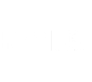 Havas Play SGSE